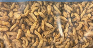 500 g lækre foderinsekter til krybdyr. De frosne larver er et perfekt foder til reptiler.
